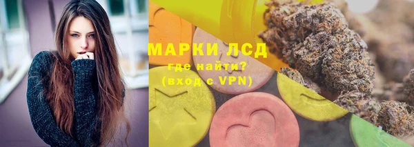 гашик Нея