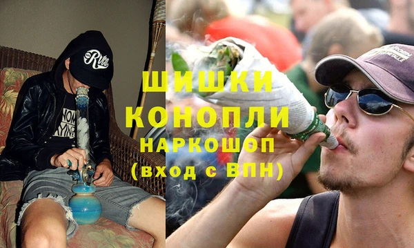 каннабис Новозыбков
