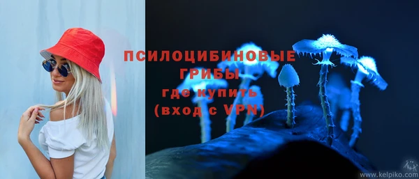 ALPHA-PVP Надым