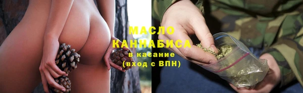 гашик Нея