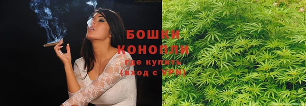 гашик Нея
