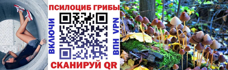 наркошоп  Шагонар  Галлюциногенные грибы Magic Shrooms 