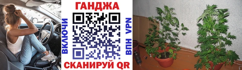 кракен tor  Шагонар  Конопля Bruce Banner 